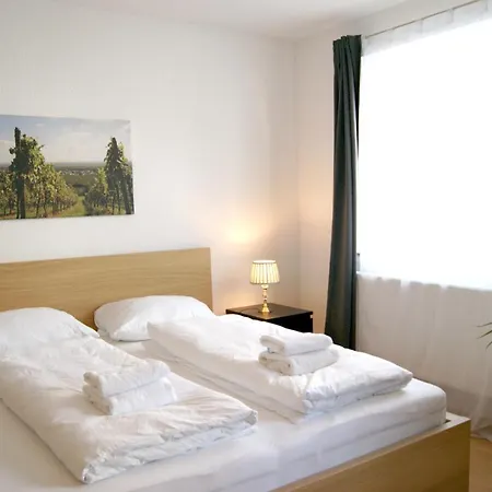 Mitten In Der Weinregion Appartement Koblenz (Rhineland-Palatinate)